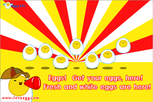 Fresh white eggs~